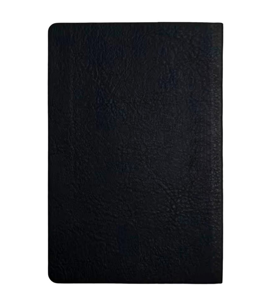 Чохол з боковою панеллю з екошкіри для IQOS ILUMA PRIME без принту