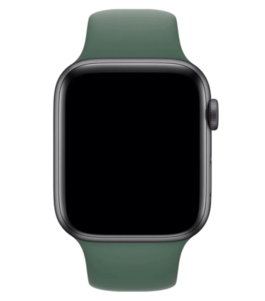 Ремінець Silicone Sport Band для Apple Watch 38|40|41 або 42|44|45|49 mm (Pine Green)